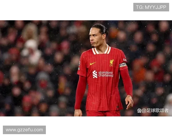 范戴克纪录片推荐:展现顶级中卫的防守艺术与职业精神