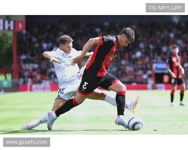 伯恩茅斯青训成果 伯恩茅斯青训成果