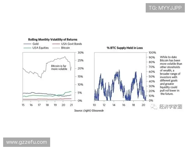 琼阿梅尼表现波动的结构性原因分析 琼阿梅尼表现波动的结构性原因分析